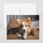 Kutest Baby Animals | Long Hair Corgi Puppy Briefkaart (Voorkant / Achterkant)