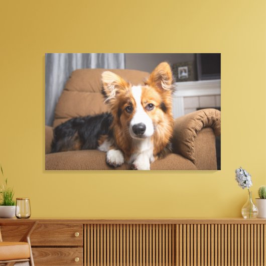 Kutest Baby Animals | Long Hair Corgi Puppy Canvas Afdruk (Insitu (Woonkamer))