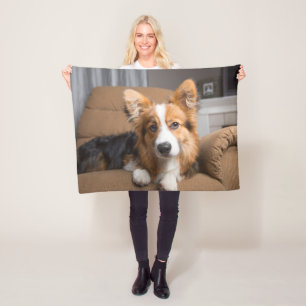 Kutest Baby Animals   Long Hair Corgi Puppy Fleece Deken