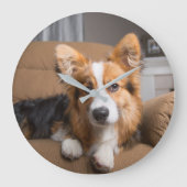 Kutest Baby Animals | Long Hair Corgi Puppy Grote Klok (Voorkant)