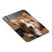 Kutest Baby Animals | Long Hair Corgi Puppy Magneet (Rechterzijde)
