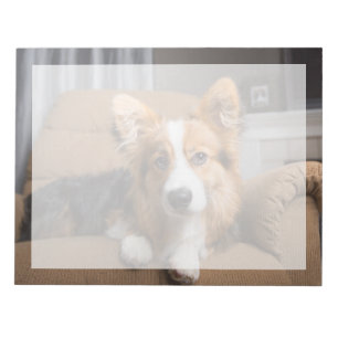 Kutest Baby Animals Long Hair Corgi Puppy Notitieblok