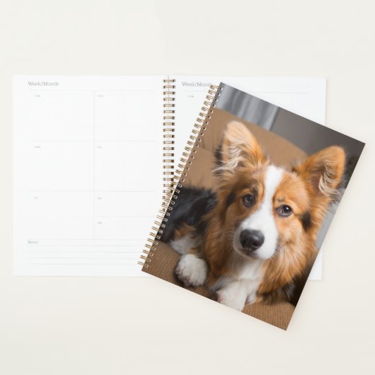 Kutest Baby Animals | Long Hair Corgi Puppy Planner (Display)