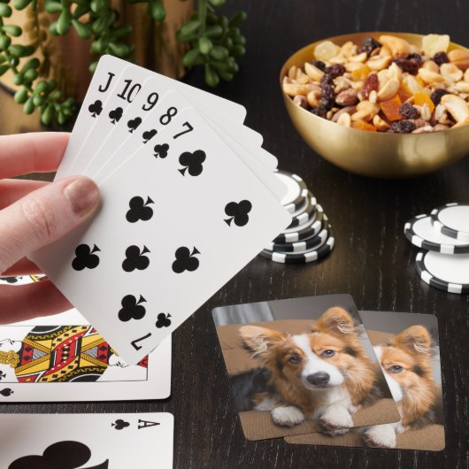 Kutest Baby Animals | Long Hair Corgi Puppy Pokerkaarten (Insitu)