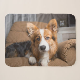 Kutest Baby Animals Long Hair Corgi Puppy Sherpa Deken