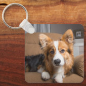 Kutest Baby Animals | Long Hair Corgi Puppy Sleutelhanger (Voorkant)