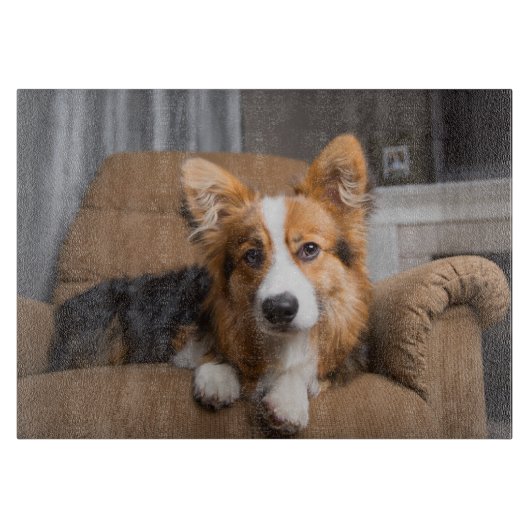 Kutest Baby Animals | Long Hair Corgi Puppy Snijplank (Voorkant)