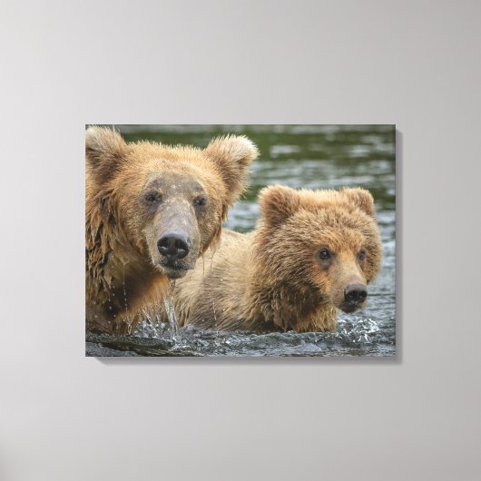 Kutest Baby Animals | Mama Beer en haar kubussen Canvas Afdruk (Voorkant)
