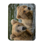 Kutest Baby Animals | Mama Beer en haar kubussen Magneet (Verticaal)