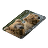 Kutest Baby Animals | Mama Beer en haar kubussen Magneet (Linkerzijde)