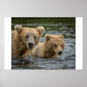 Kutest Baby Animals   Mama Beer en haar kubussen Poster