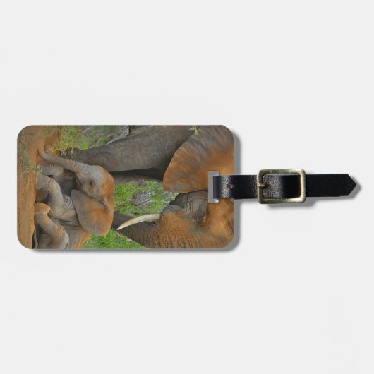 Kutest Baby Animals | Mama Elephant & Baby Bagagelabel (Voorkant horizontaal)