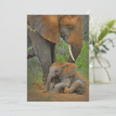 Kutest Baby Animals | Mama Elephant & Baby Bedankkaart (Staand voorkant)