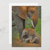 Kutest Baby Animals | Mama Elephant & Baby Bedankkaart (Voorkant / Achterkant)