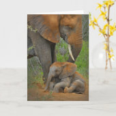 Kutest Baby Animals | Mama Elephant & Baby Kaart (Gele Bloem)