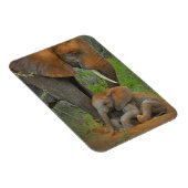 Kutest Baby Animals | Mama Elephant & Baby Magneet (Rechterzijde)