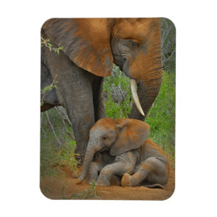Kutest Baby Animals   Mama Elephant & Baby Magneet