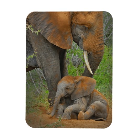 Kutest Baby Animals | Mama Elephant & Baby Magneet (Verticaal)