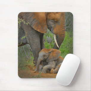 Kutest Baby Animals   Mama Elephant & Baby Muismat