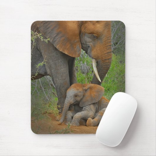 Kutest Baby Animals | Mama Elephant & Baby Muismat (Met muis)