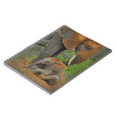 Kutest Baby Animals | Mama Elephant & Baby Notitieboek (Linkerzijde)