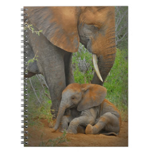 Kutest Baby Animals   Mama Elephant & Baby Notitieboek