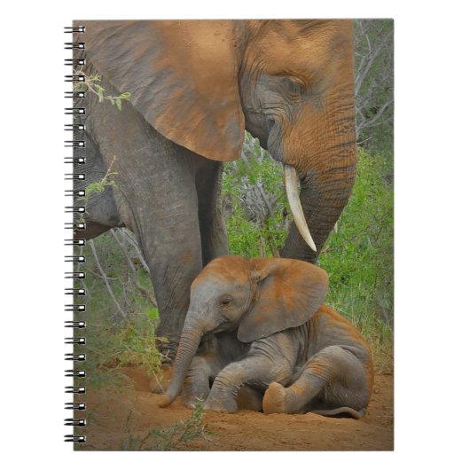 Kutest Baby Animals | Mama Elephant & Baby Notitieboek (Voorkant)