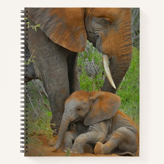 Kutest Baby Animals | Mama Elephant & Baby Notitieboek (Voorkant)
