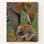 Kutest Baby Animals | Mama Elephant & Baby Notitieboek (Achterkant)