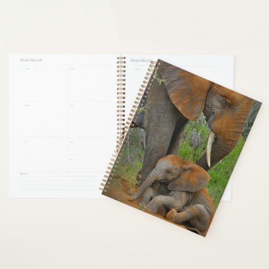 Kutest Baby Animals | Mama Elephant & Baby Planner (Display)