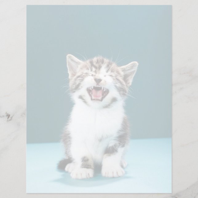 Kutest Baby Animals | Medue Baby Kitten (Voorkant)