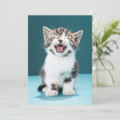 Kutest Baby Animals | Medue Baby Kitten Bedankkaart (Staand voorkant)