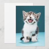 Kutest Baby Animals | Medue Baby Kitten Bedankkaart (Voorkant / Achterkant)