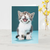 Kutest Baby Animals | Medue Baby Kitten Kaart (Gele Bloem)