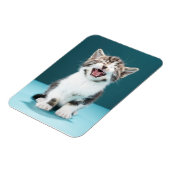 Kutest Baby Animals | Medue Baby Kitten Magneet (Linkerzijde)