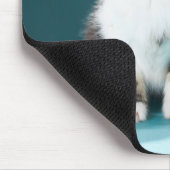 Kutest Baby Animals | Medue Baby Kitten Muismat (Hoek)