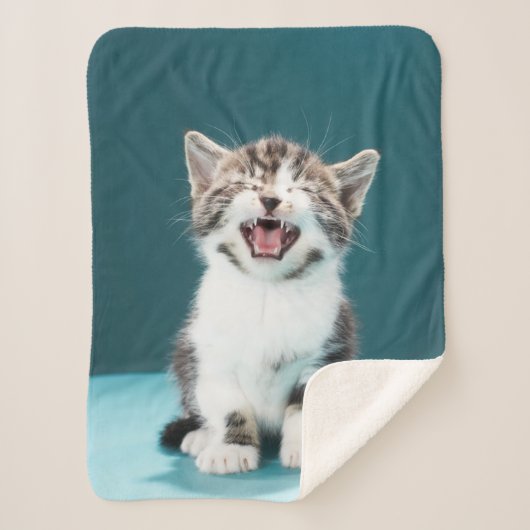 Kutest Baby Animals | Medue Baby Kitten Sherpa Deken (Voorkant)