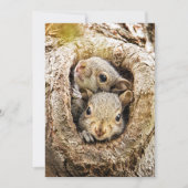 Kutest Baby Animals | Merkwaardige Baby eekhoorns Bedankkaart (Voorkant)