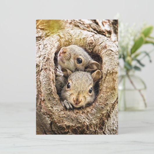 Kutest Baby Animals | Merkwaardige Baby eekhoorns Bedankkaart (Staand voorkant)