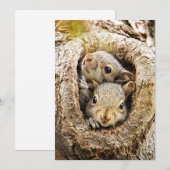 Kutest Baby Animals | Merkwaardige Baby eekhoorns Bedankkaart (Voorkant / Achterkant)