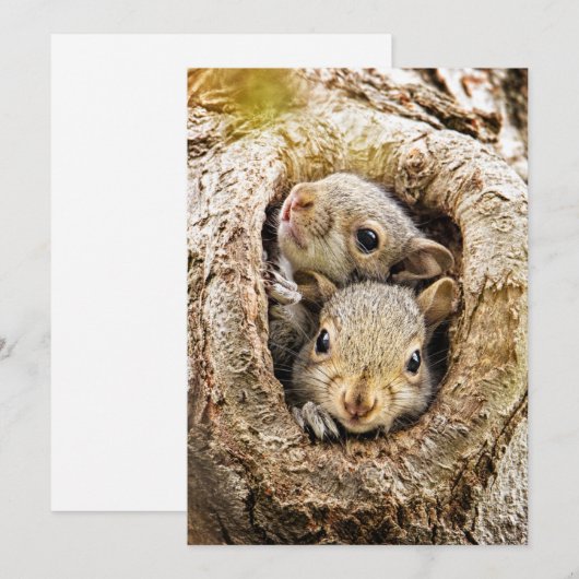 Kutest Baby Animals | Merkwaardige Baby eekhoorns Bedankkaart (Voorkant / Achterkant)
