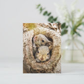 Kutest Baby Animals | Merkwaardige Baby eekhoorns Briefkaart (Staand voorkant)