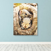 Kutest Baby Animals | Merkwaardige Baby eekhoorns Canvas Afdruk (Insitu (Houten vloer))