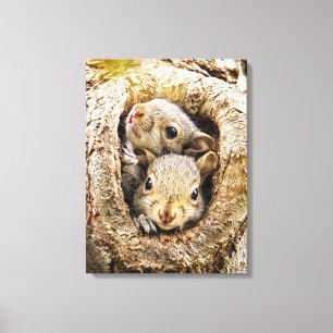 Kutest Baby Animals   Merkwaardige Baby eekhoorns Canvas Afdruk