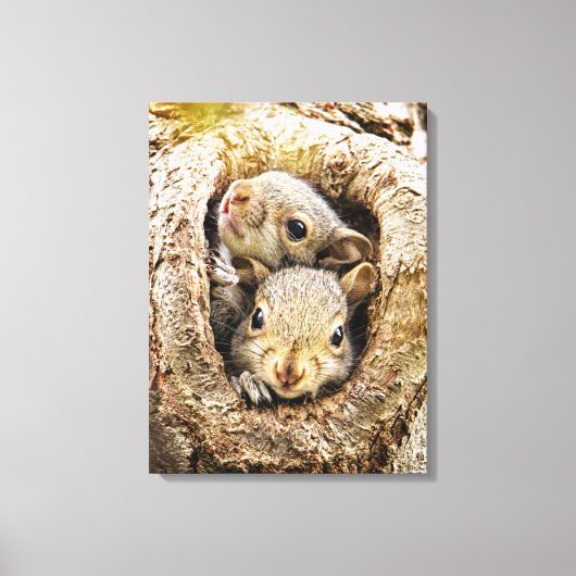 Kutest Baby Animals | Merkwaardige Baby eekhoorns Canvas Afdruk (Voorkant)