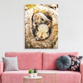 Kutest Baby Animals | Merkwaardige Baby eekhoorns Canvas Afdruk (Insitu (Woonkamer))