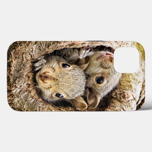 Kutest Baby Animals | Merkwaardige Baby eekhoorns Case-Mate iPhone Case (Achterkant (horizontaal))