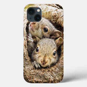Kutest Baby Animals   Merkwaardige Baby eekhoorns Case-Mate iPhone Case