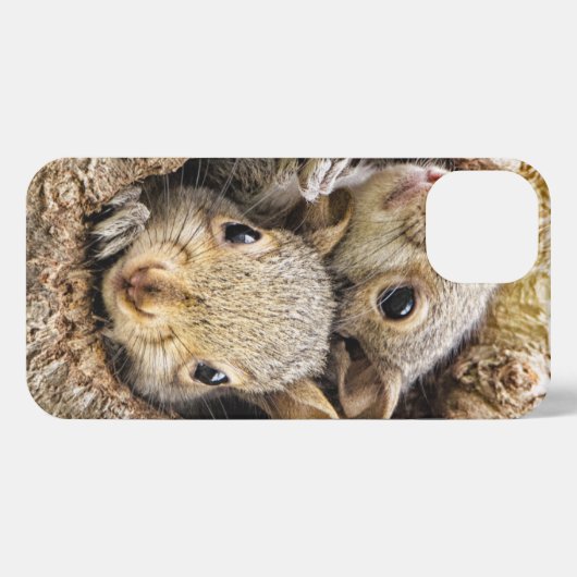 Kutest Baby Animals | Merkwaardige Baby eekhoorns iPhone Hoesje (Achterkant horizontaal)