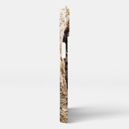 Kutest Baby Animals | Merkwaardige Baby eekhoorns iPhone Hoesje (Rechterkant)